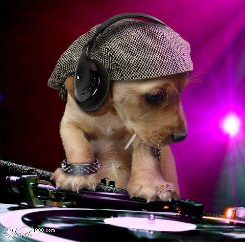 hawkoDJ.jpg